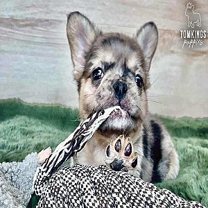 Calliope, the cuddly thumbnail 1