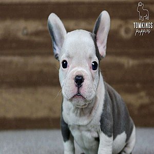 Barkha, the precious thumbnail 4