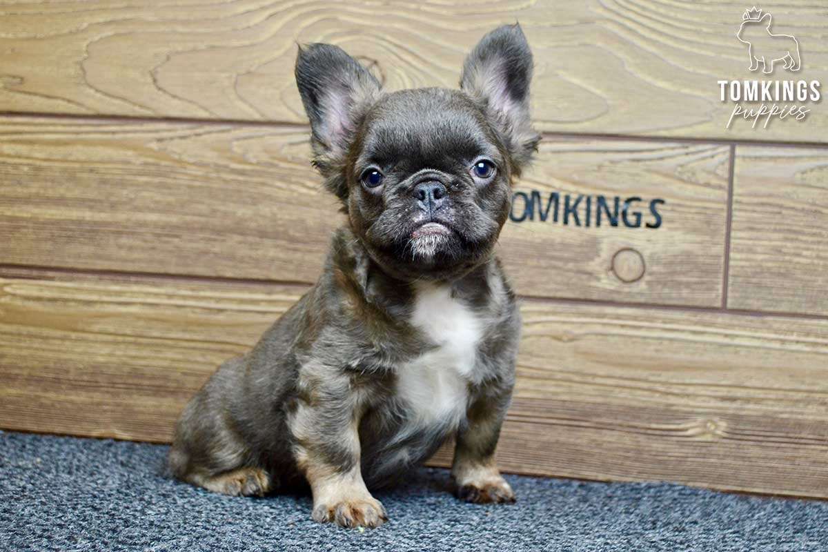 Aurora, the remarkable