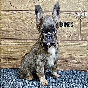 Aurora, the remarkable thumbnail 2