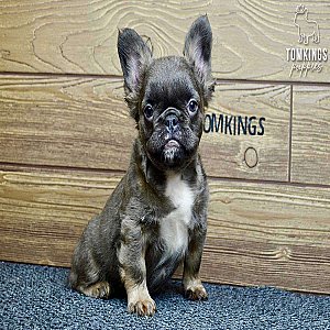 Aurora, the remarkable thumbnail 3