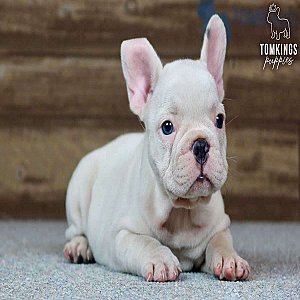 Jordyn, the gentle thumbnail 2