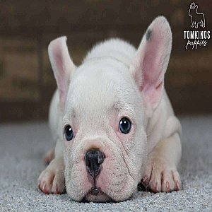 Jordyn, the gentle thumbnail 3