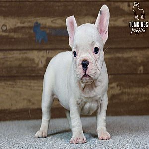 Jordyn, the gentle thumbnail 4