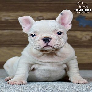 Jordyn, the gentle thumbnail 5