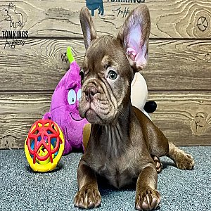 Marla, the model thumbnail 3