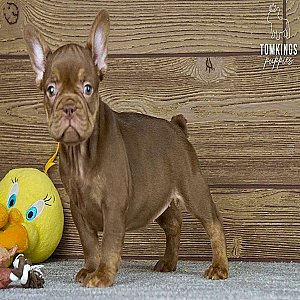 Marla, the model thumbnail 4