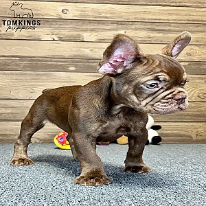 Marla, the model thumbnail 5