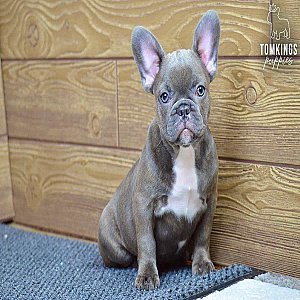 Luana, the calm thumbnail 4