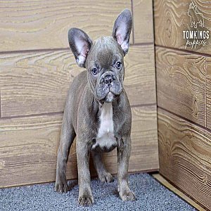 Luana, the calm thumbnail 5