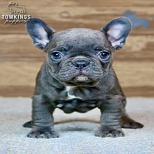 Winona, the sweet thumbnail 1