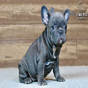 Winona, the sweet thumbnail 3