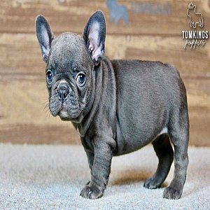 Winona, the sweet thumbnail 4