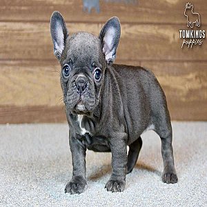 Winona, the sweet thumbnail 5